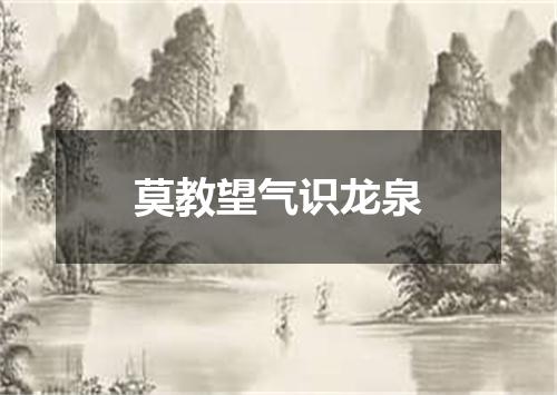莫教望气识龙泉