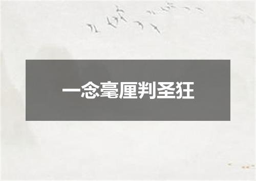 一念毫厘判圣狂
