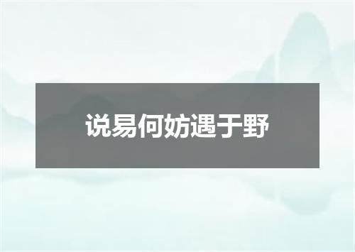 说易何妨遇于野