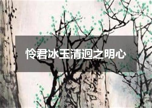 怜君冰玉清迥之明心