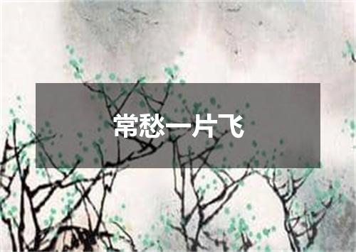 常愁一片飞