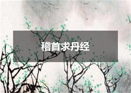 稽首求丹经