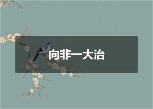 向非一大治