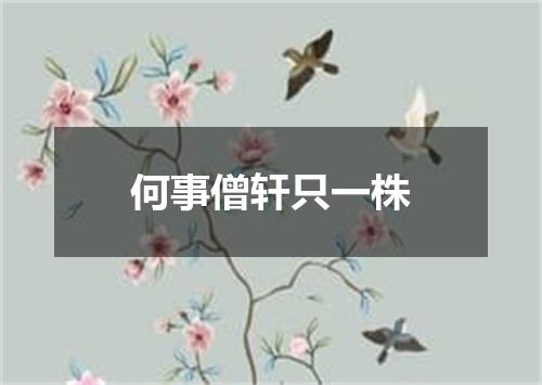 何事僧轩只一株
