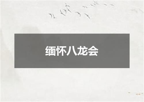 缅怀八龙会