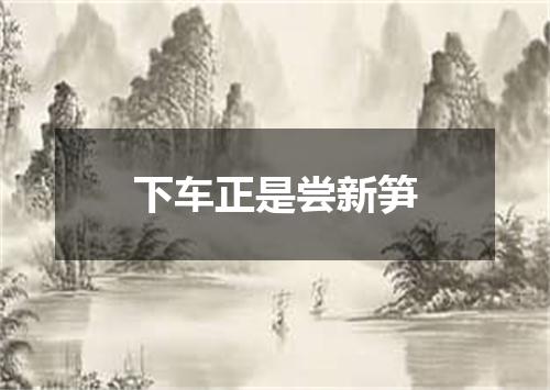 下车正是尝新笋