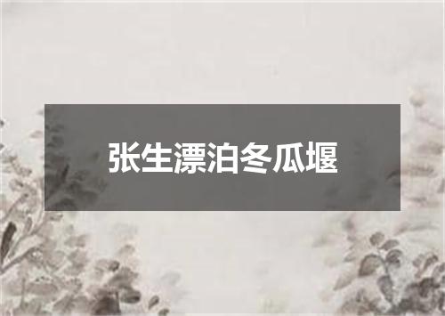 张生漂泊冬瓜堰