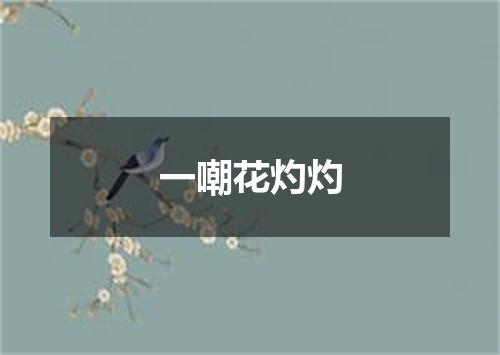 一嘲花灼灼