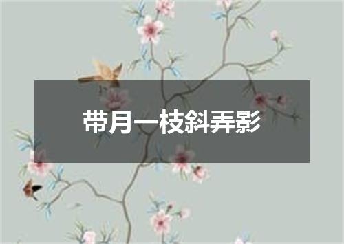 带月一枝斜弄影