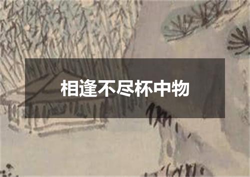相逢不尽杯中物