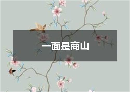 一面是商山