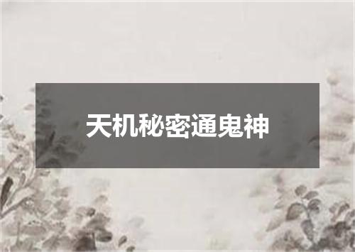 天机秘密通鬼神
