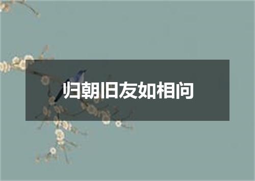 归朝旧友如相问