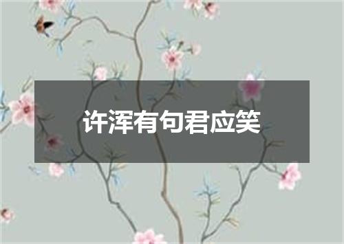 许浑有句君应笑