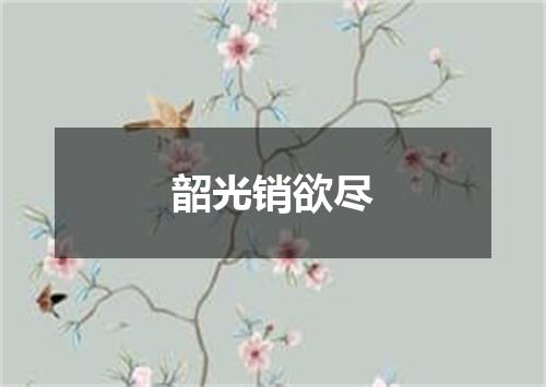 韶光销欲尽