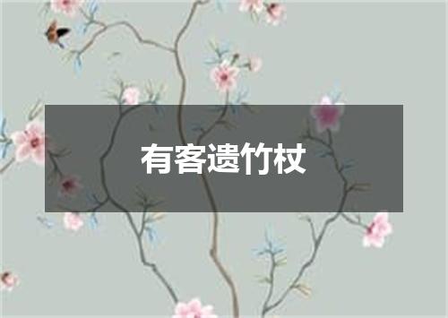 有客遗竹杖