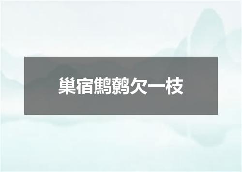 巢宿鹪鹩欠一枝