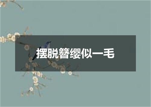 摆脱簪缨似一毛