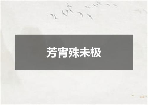 芳宵殊未极
