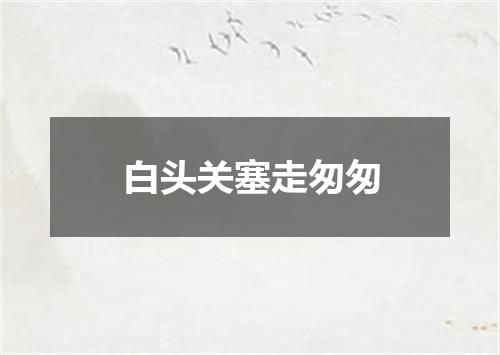 白头关塞走匆匆