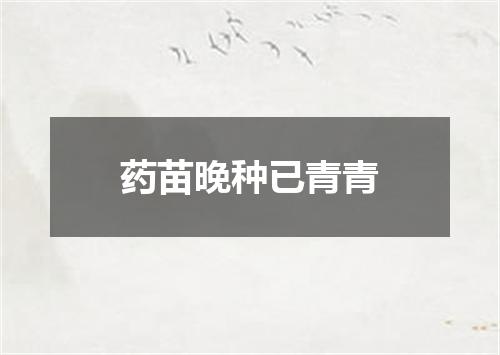 药苗晚种已青青