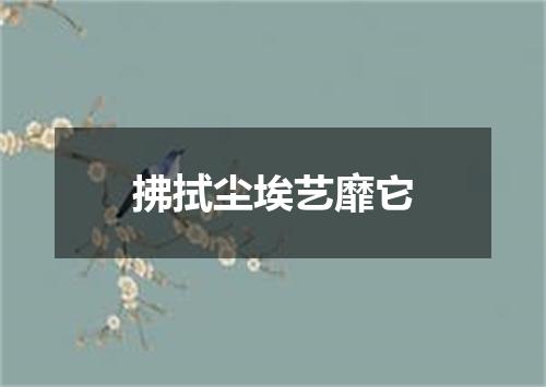 拂拭尘埃艺靡它