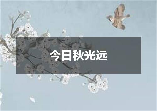 今日秋光远