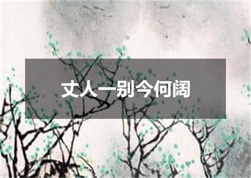 丈人一别今何阔