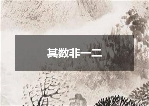 其数非一二