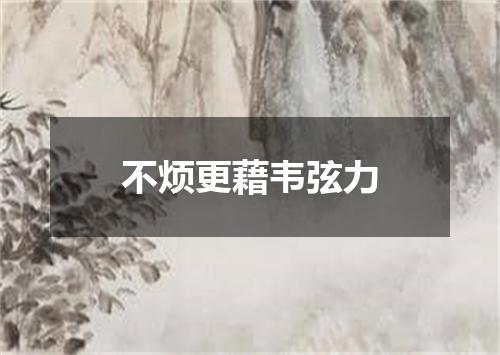 不烦更藉韦弦力