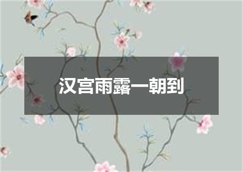 汉宫雨露一朝到