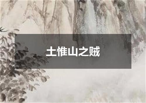 土惟山之贼