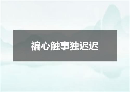 褊心触事独迟迟