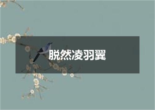 脱然凌羽翼