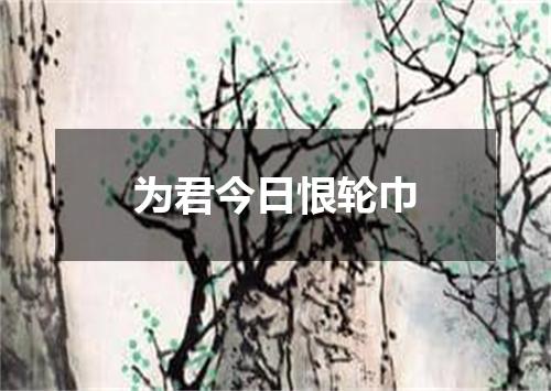 为君今日恨轮巾