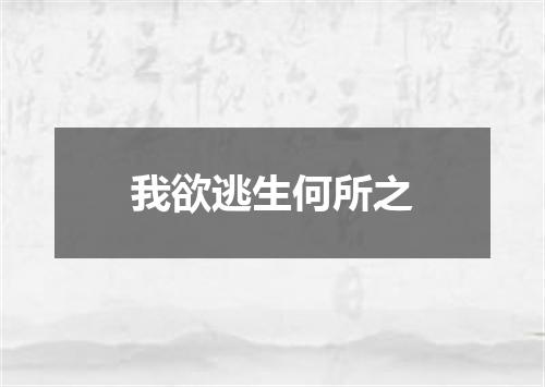 我欲逃生何所之