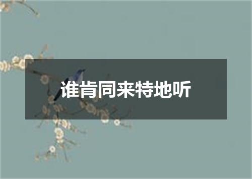 谁肯同来特地听