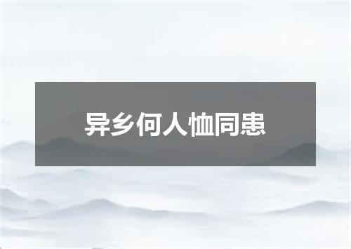 异乡何人恤同患
