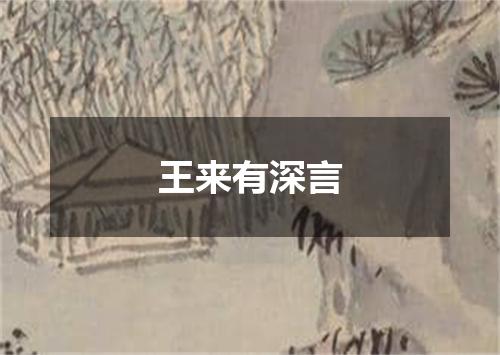 王来有深言