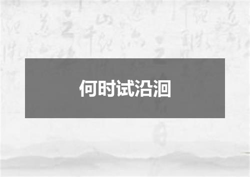 何时试沿洄