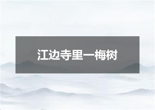 江边寺里一梅树