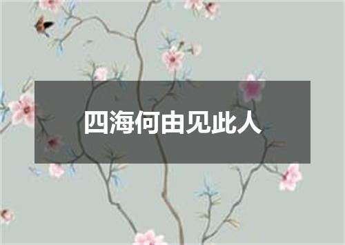 四海何由见此人