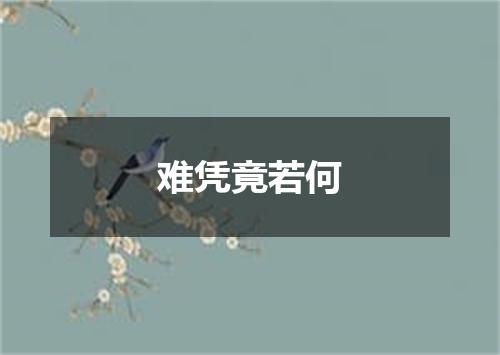 难凭竟若何