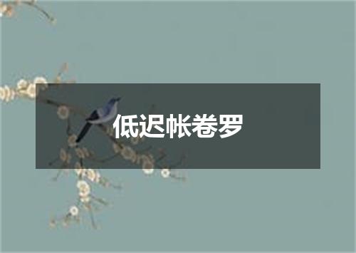 低迟帐卷罗