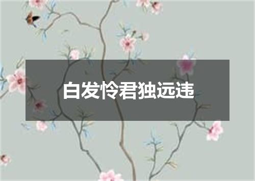 白发怜君独远违