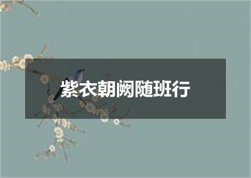 紫衣朝阙随班行
