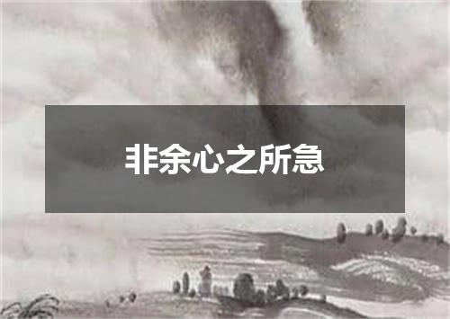 非余心之所急