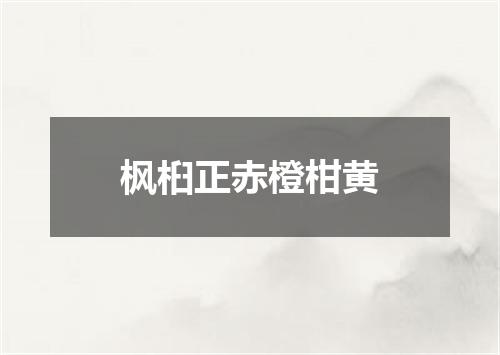 枫桕正赤橙柑黄