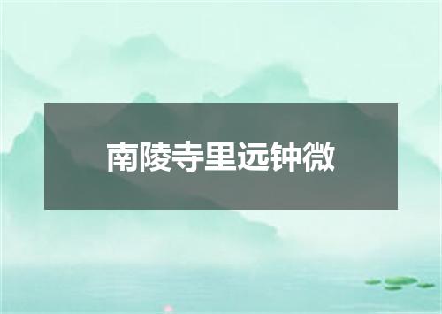 南陵寺里远钟微