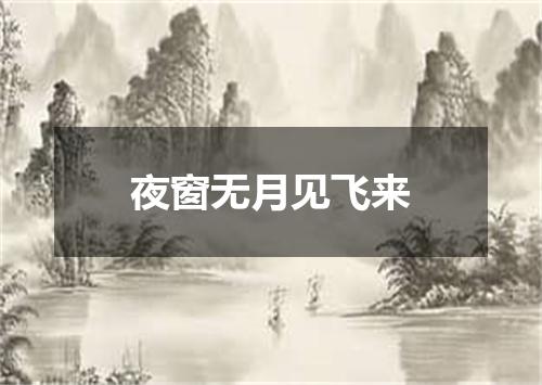 夜窗无月见飞来